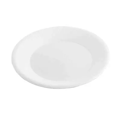 Plato 18