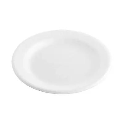 Plato 15
